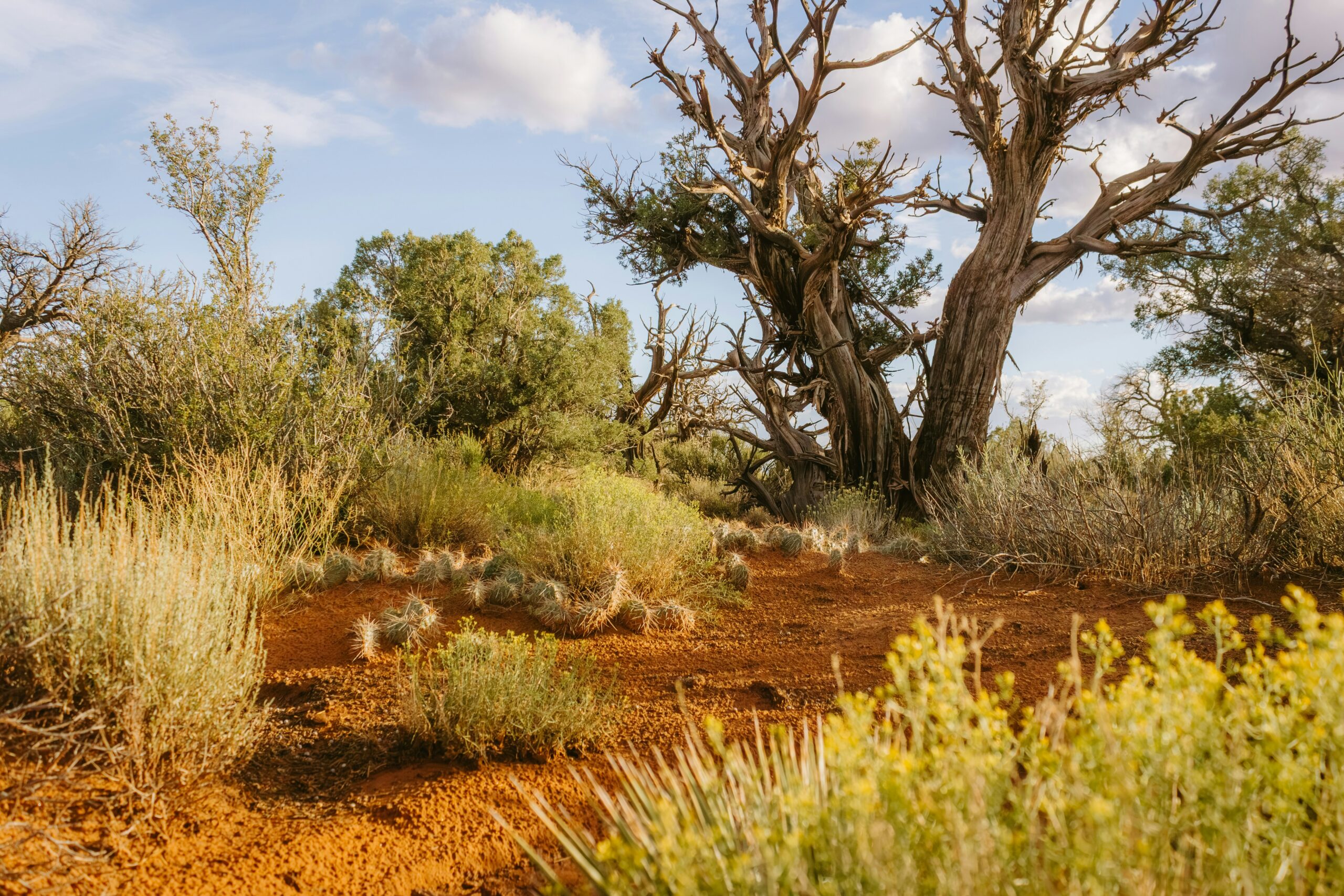 Ecosystem services — The Networks We Don’t See