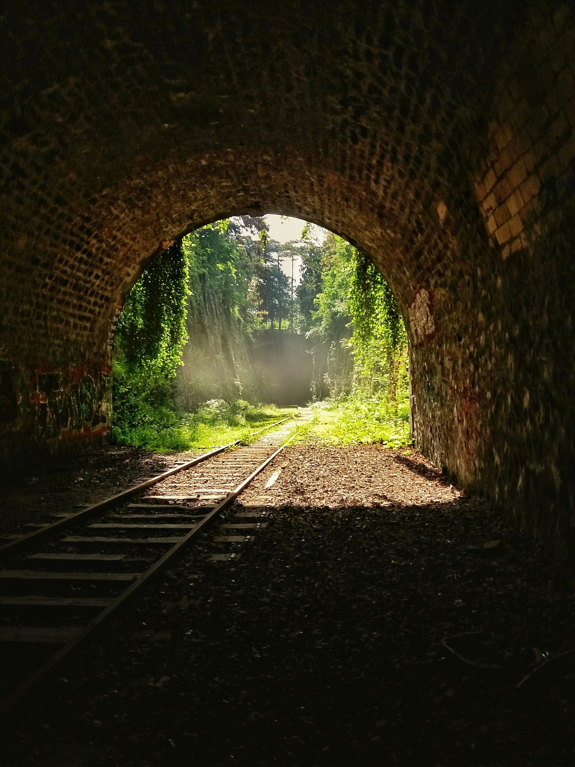 Leaving the carbon tunnel